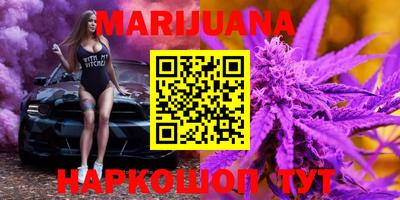 МДПВ Камышлов