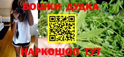 МДПВ Камышлов