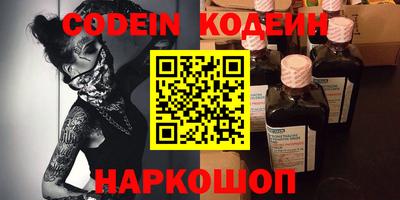 МДПВ Камышлов