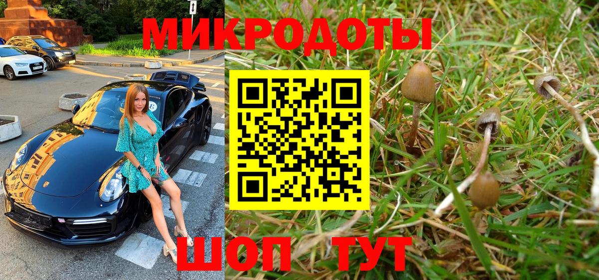 Галлюциногенные грибы мухоморы Ханты-Мансийск
